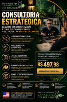 Consultoria Estratégica Individual — 60 minutos